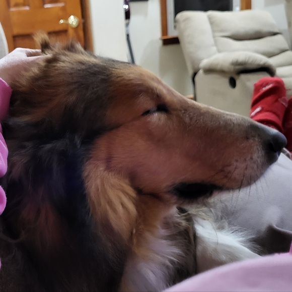 Meet the Posher Other - PLSreadBEFOREbuying!